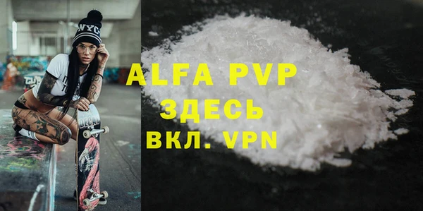ПСИЛОЦИБИНОВЫЕ ГРИБЫ Няндома