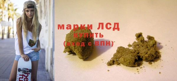 ПСИЛОЦИБИНОВЫЕ ГРИБЫ Няндома