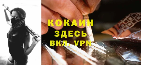 шишки Нягань