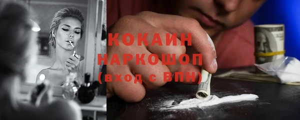ГАЛЛЮЦИНОГЕННЫЕ ГРИБЫ Гатчина