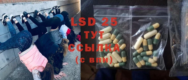 ПСИЛОЦИБИНОВЫЕ ГРИБЫ Няндома