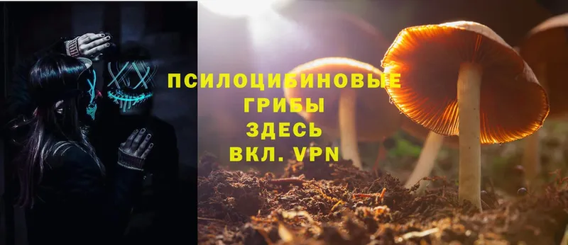 darknet какой сайт  hydra зеркало  Псилоцибиновые грибы MAGIC MUSHROOMS  Краснотурьинск  где купить наркоту 