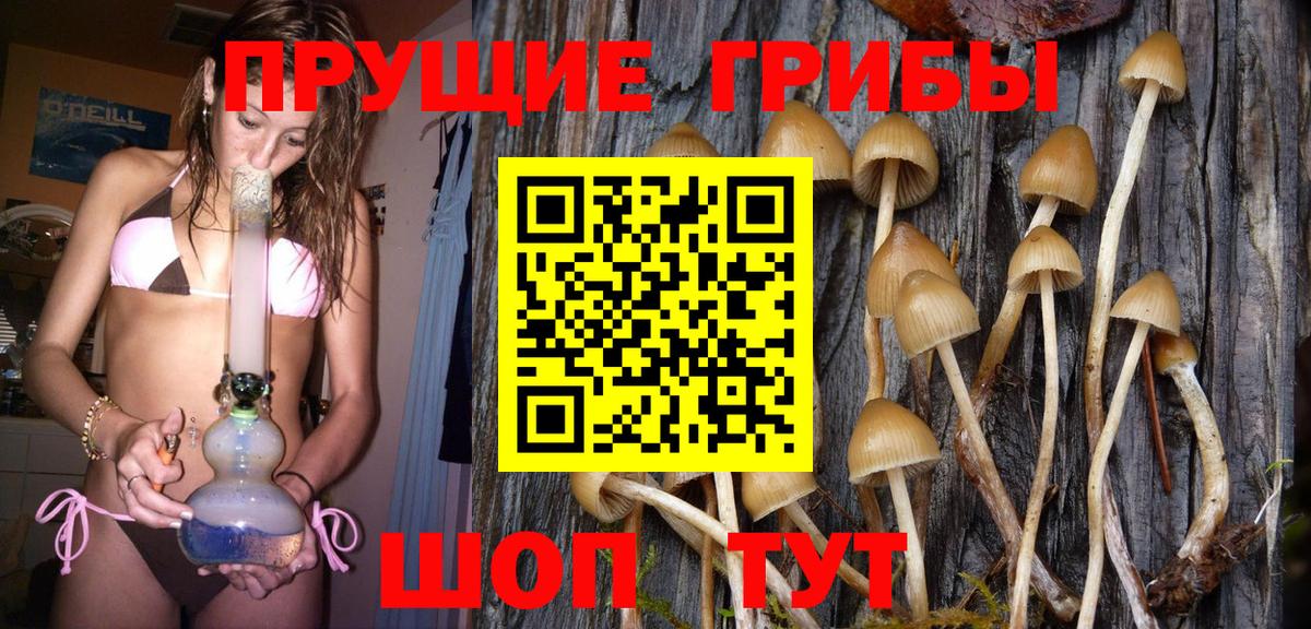Псилоцибиновые грибы Psilocybine cubensis  Псилоцибиновые грибы MAGIC MUSHROOMS  Вход с VPN  Краснотурьинск 