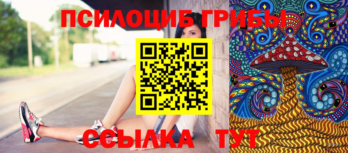 Галлюциногенные грибы MAGIC MUSHROOMS  цены наркотик  Псилоцибиновые грибы мухоморы  Краснотурьинск 